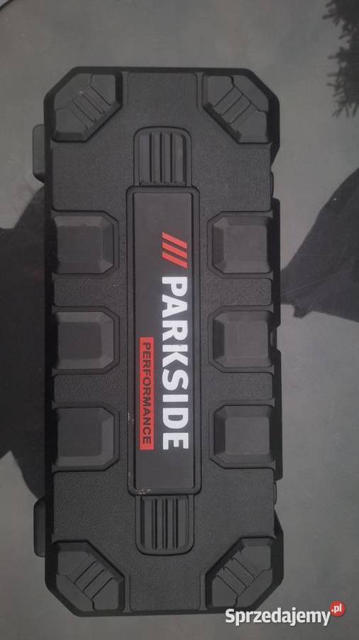 Piła szablasta Płońsk