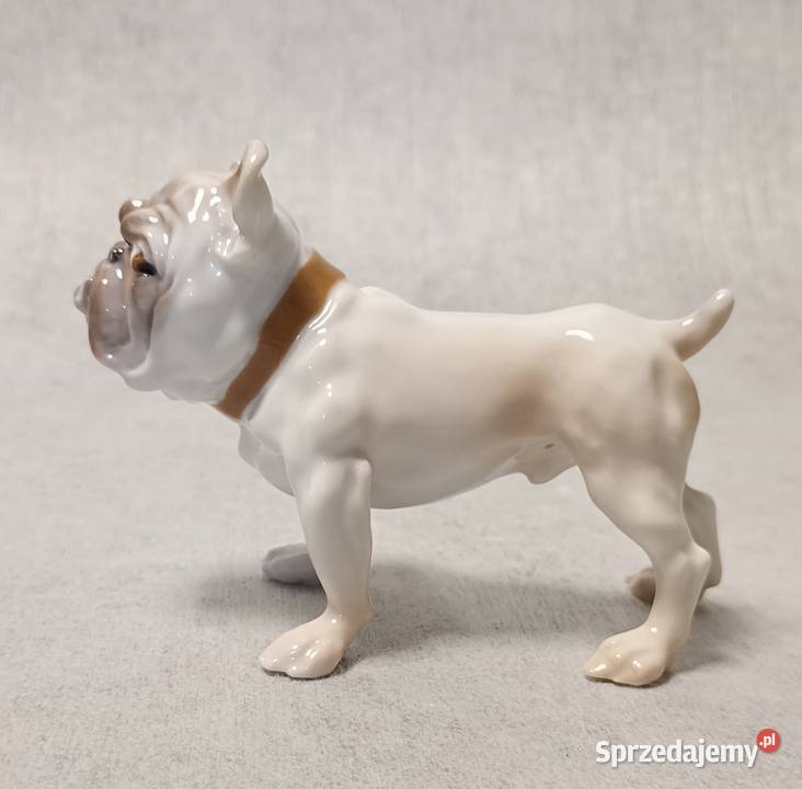 BG Bing Grondahl 1676 Bulldog Dahl Jensen pomorskie Gdańsk