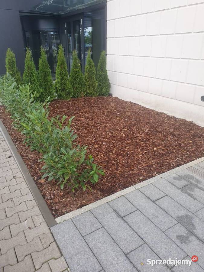 Kora ogrodowa ozdobna dekoracyjna