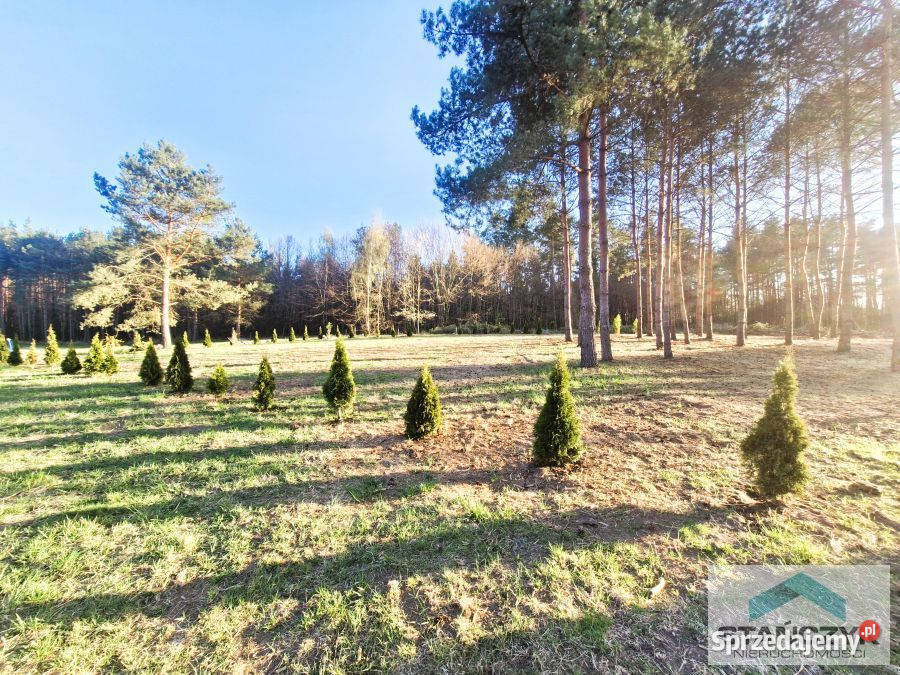 Działka Golczewo 1350m2