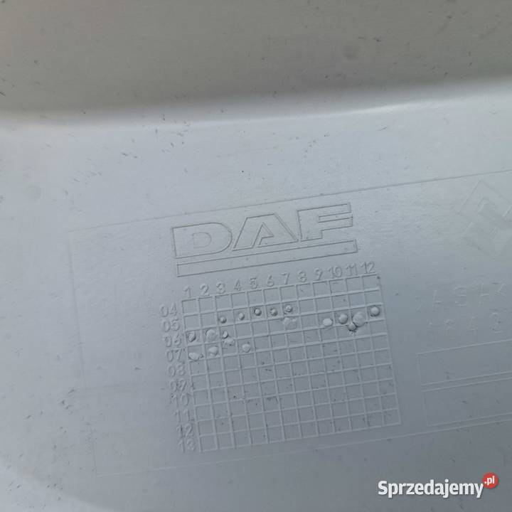 DAF XF 105 STOPIEŃ WNĘKA SCHODEK OBUDOWA LEWA Bieleń sprzedam