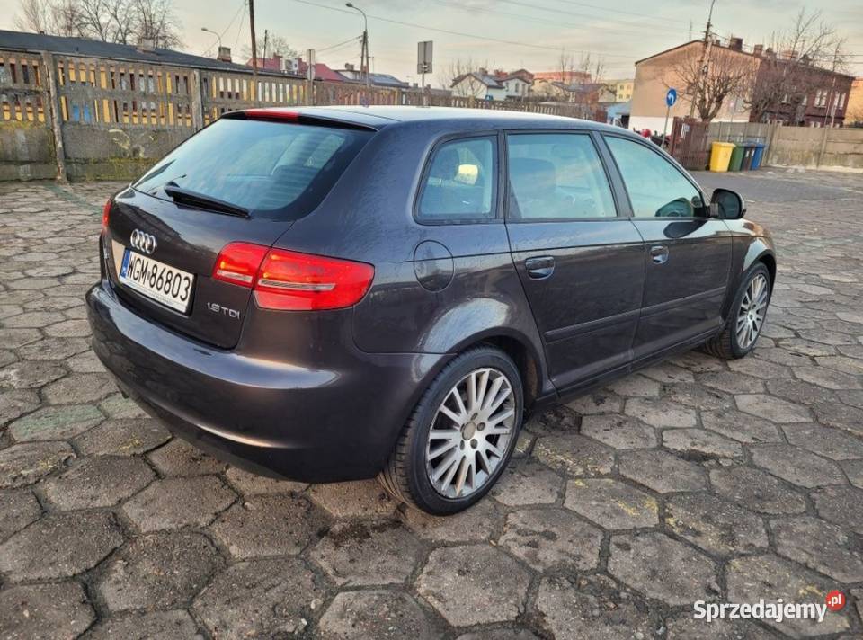 Audi A3 8P 19TDI 105 immobilizer Żyrardów