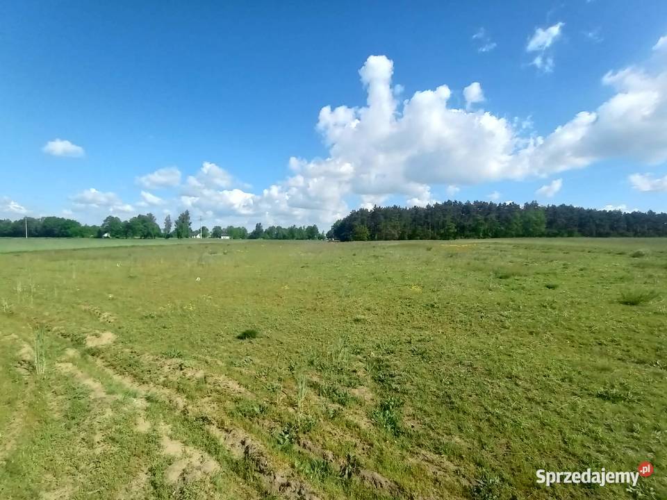 Na sprzedaż działka budowlana z MPZP wielkopolskie Marianów-Kolonia