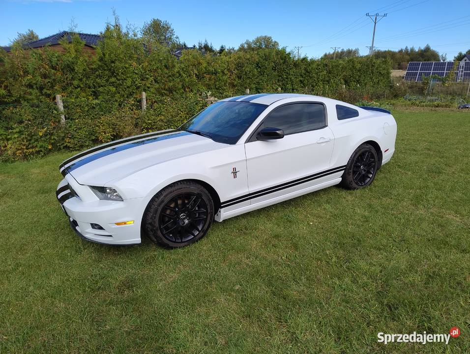 Ford Mustang 2014r 37l Gryfice