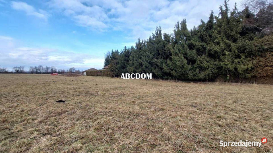 Cholerzyn działka budowlana 8 arów 28m