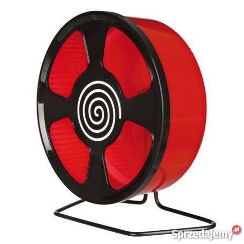 Jeż pigmejski Kraków