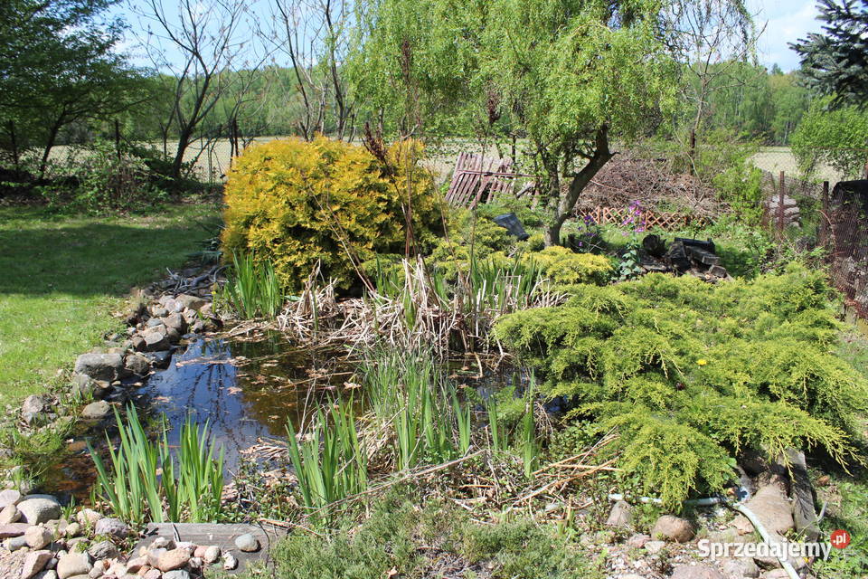 Działka ROD RELAX Nowosolna