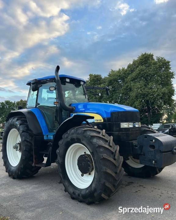 Holand TM190 wielkopolskie sprzedam
