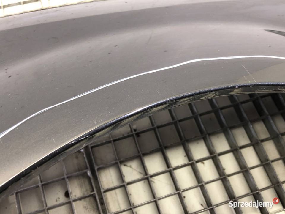 BŁOTNIK LEWY PRZÓD RENAULT SCNIC II Minivan 0310 Motoryzacja