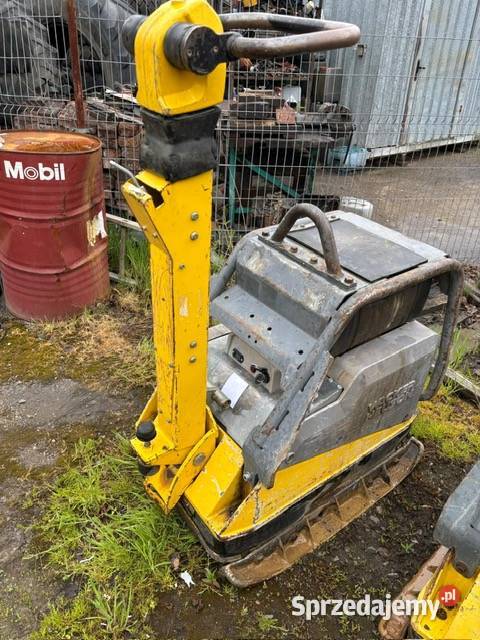 Zagęszczarka Wacker Neuson DPU 6555 2016 i 2017 Chojnów