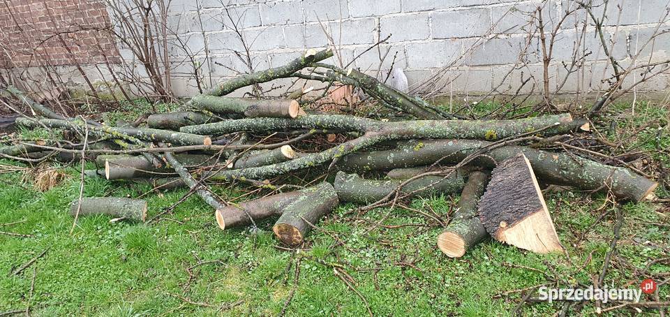 Sprzedam Opał podkarpackie Czelatyce