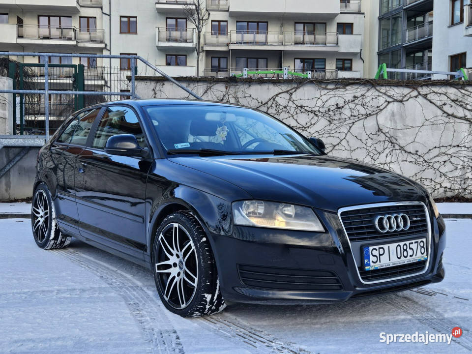Audi A3 3drzwiowe 19 TDI 8P 20032012 śląskie