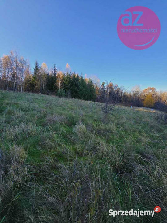 6 działek budowlanych w Stróżówce 24a małopolskie Stróżówka