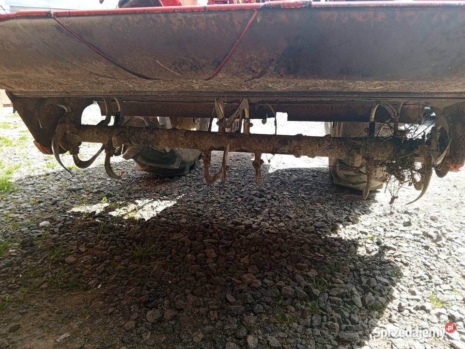 Glebogryzarka japonska do truskawek 155 Kielce sprzedam