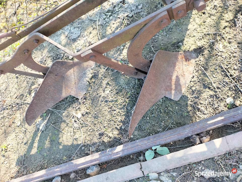 Plug dwu skibowy konny do esa sama traktorka Kamień-Kolonia