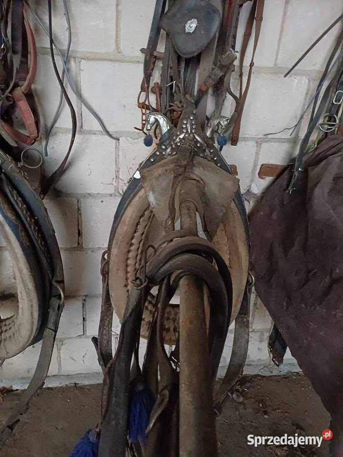 bryczki uprząż wz cygański przyczepa koni mazowieckie