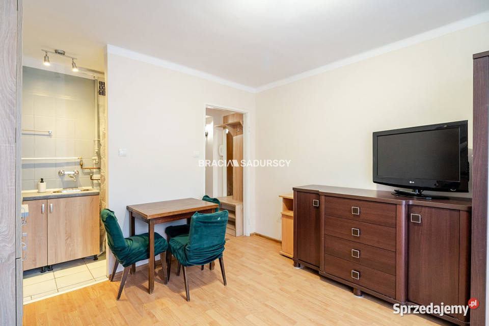 Mieszkanie Kraków Pielęgniarek 185m2 1pokojowe