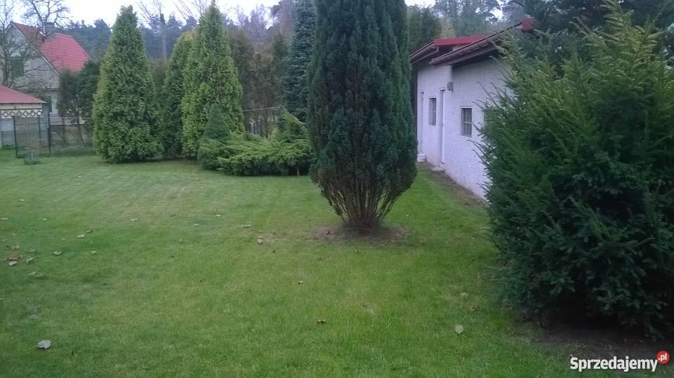 Dom Lutomiersk Wrząca Bezpośrednio właściciela 110m2 Domy łódzkie