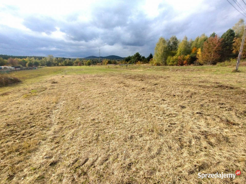 sprzedaży działki Daleszyce 799m2 szambo sprzedam