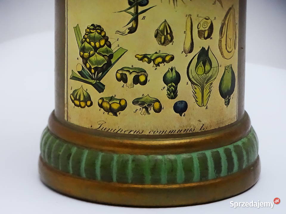 Zabytkowy pojemnik aptekarski z ilustracją lubelskie