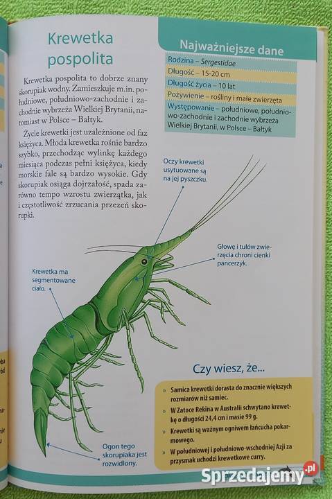 Ilustrowany Atlas Niezwykłych Wodnych Zwierząt Małkinia Górna sprzedam