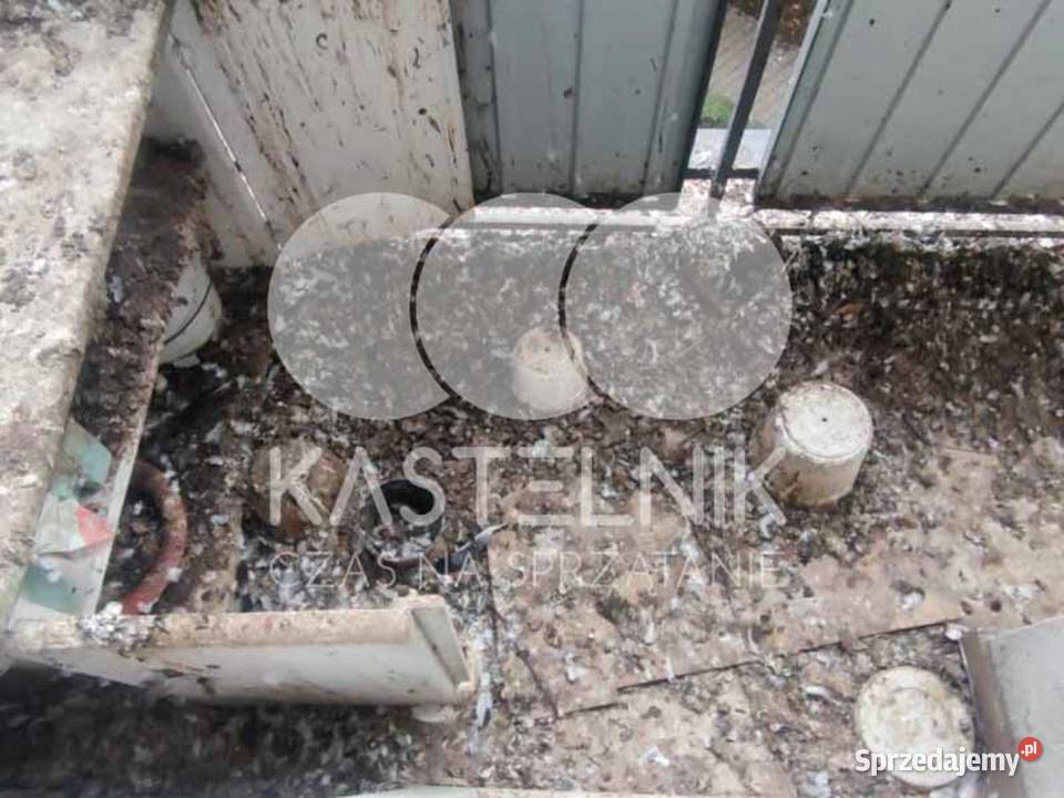 Sprzątanie gołębiach Wyszków Kastelnik mycie