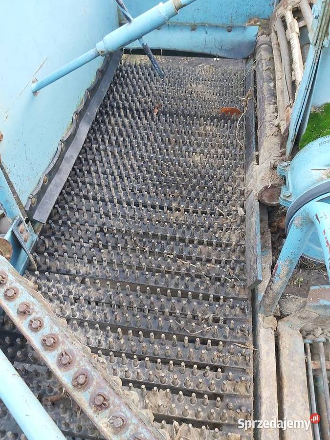 Kombajn Bolko posiada też przystawkę do cebuli dolnośląskie Nielubia