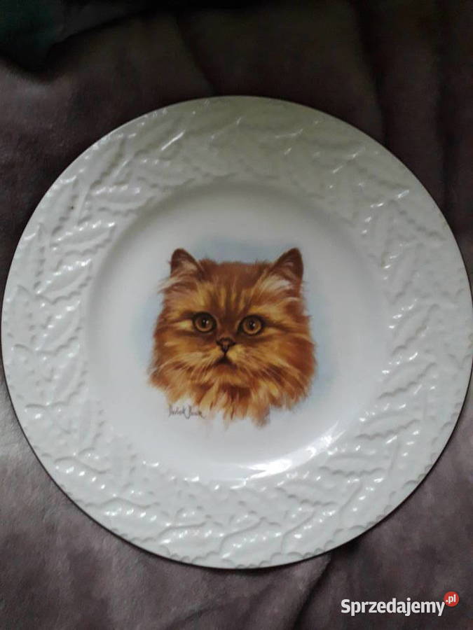 2 talerze z kotami Coalport Chełm