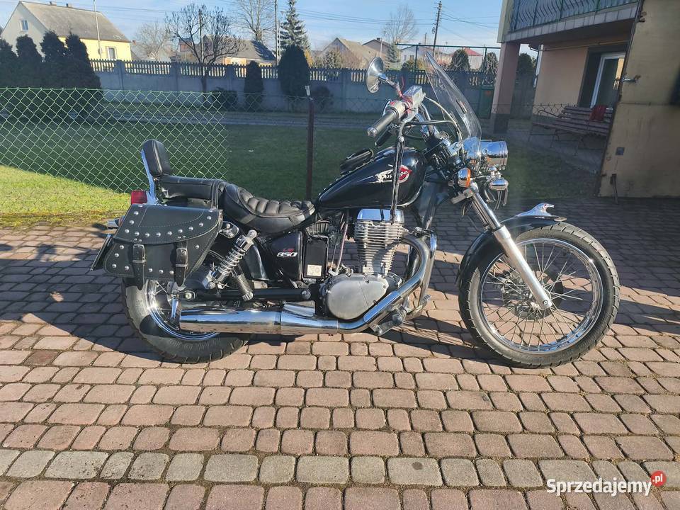 Suzuki LS 650 SAVAGE