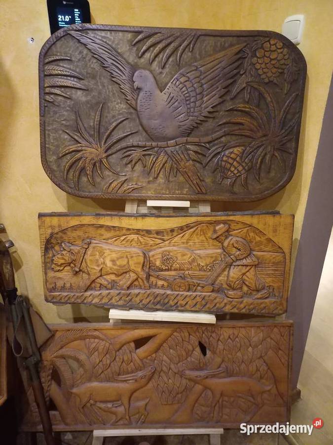 Duża płaskorzeźba z drewna Papuga Figurki i rzeźby kujawsko-pomorskie Lipno sprzedam