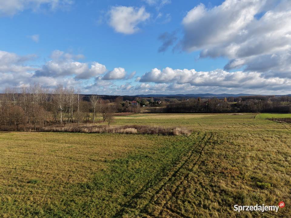 Sprzedam działkę 41 ar Sieklówka