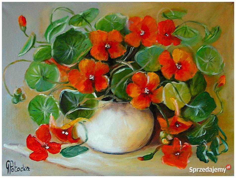Nasturcje obraz olejny na płótnie 4030 dostępny Malarstwo Błonie sprzedam
