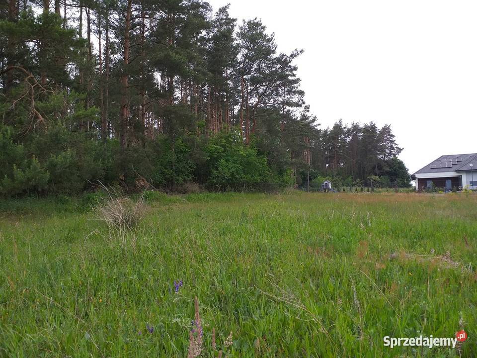 DZIAŁKA BUDOWLANA PIŁA DOLASZEWO 1548m2 wielkopolskie sprzedam