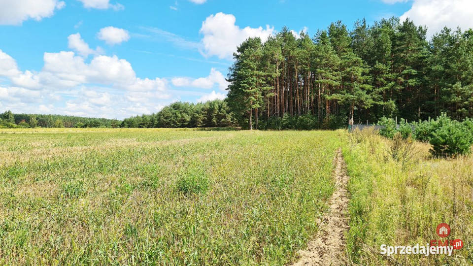 sprzedaży gruntu Wólka Poduchowna 1047 metrów 1047m2