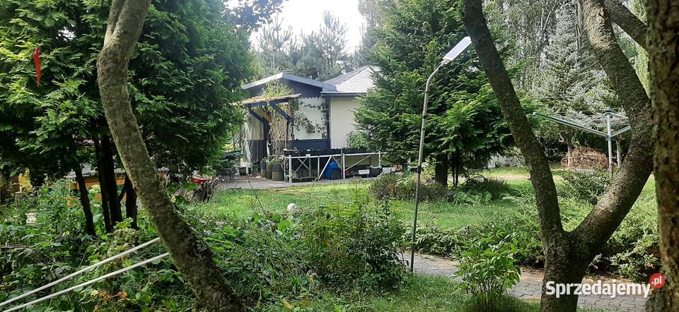 Działki 1000m2 z domkiem 65m2 w Tuszynie Tuszyn sprzedam