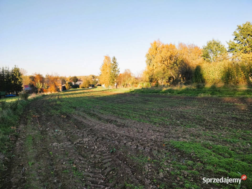 Działka 13 arów Zgłobień obok Rzeszowa podkarpackie