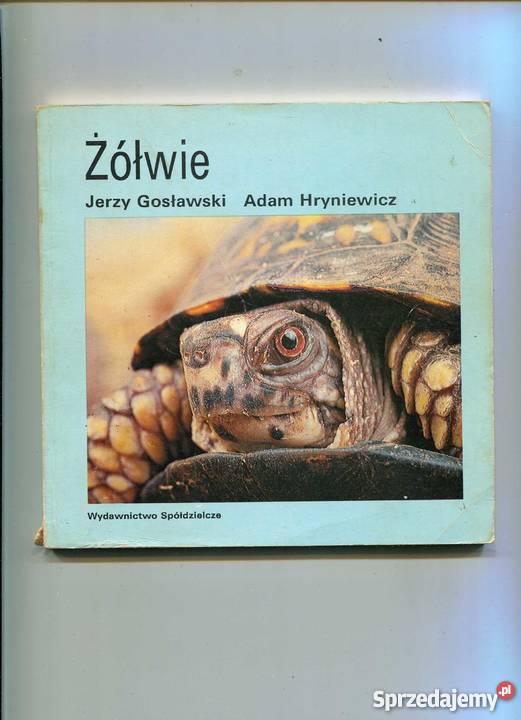Żółwie Szczecin