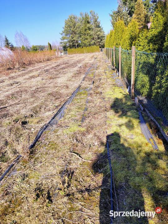 Działka ogrody działkowe rafałówka rekreacyjna podlaskie Białystok