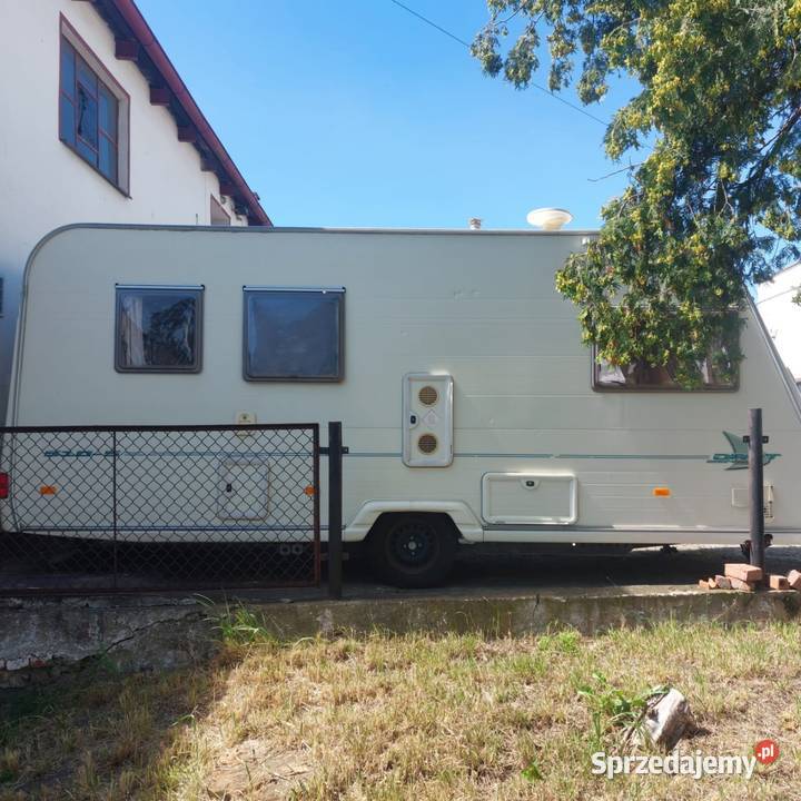 Avondale Dart 5105