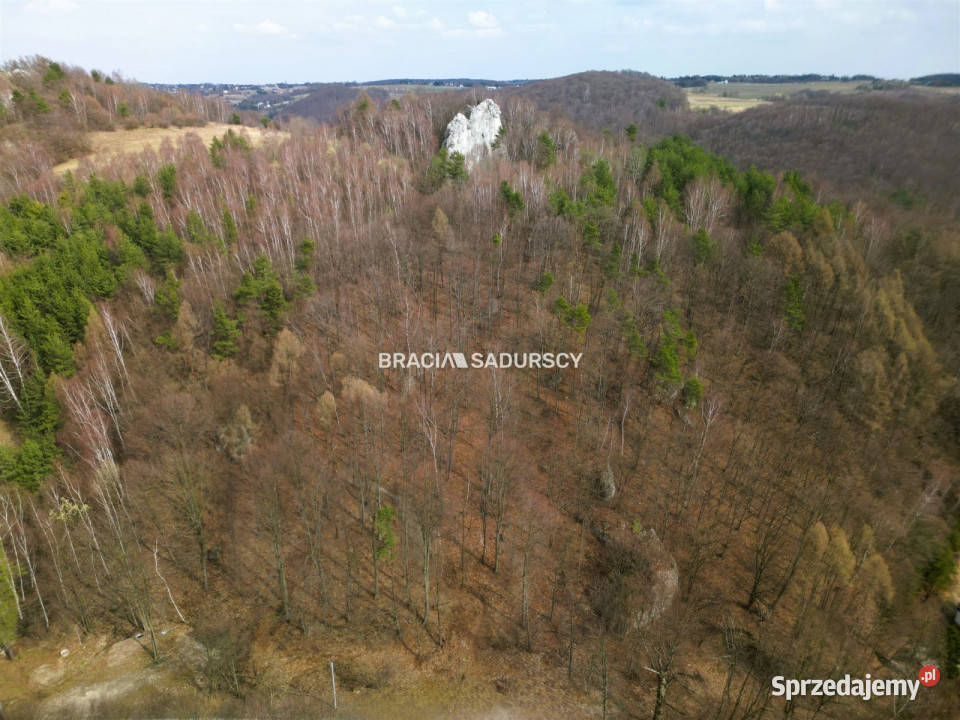 Działkę sprzedam Jerzmanowice Zachodnia 700m2 Sprzedaż
