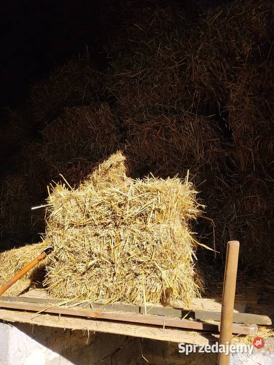 Słoma pszenżytnia Żarki