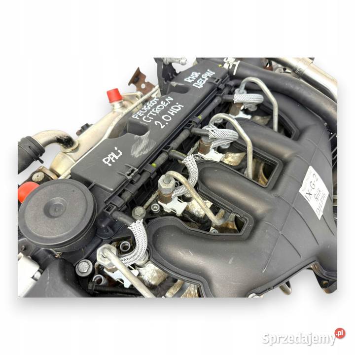 SILNIK RHR Peugeot 407 Citroen C5 III 20 HDI 16V osobowe Chełm sprzedam
