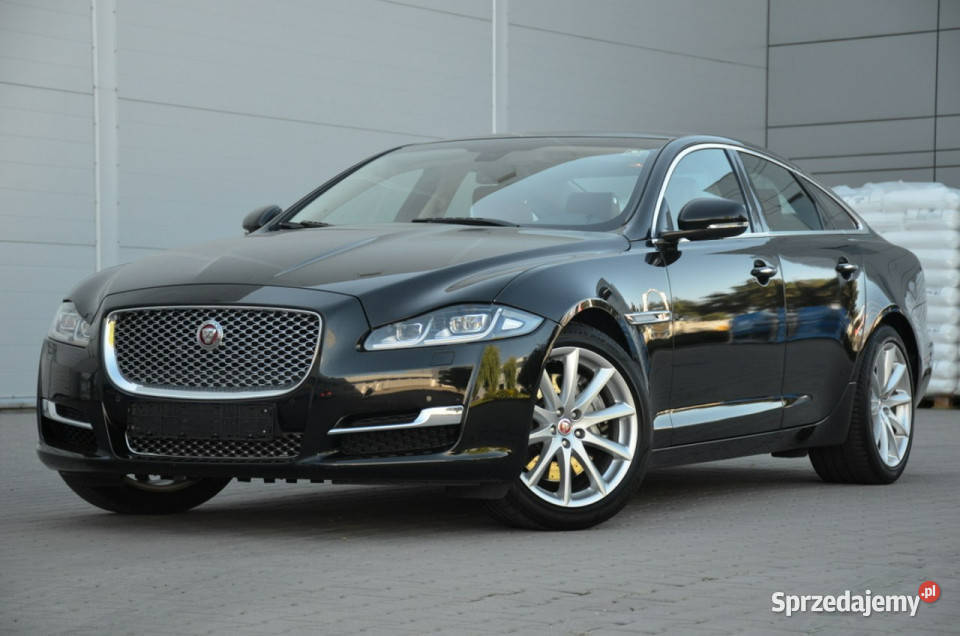 Jaguar XJ 30D 300 Lift Serwis Full LED Kamera 300KM Kutno