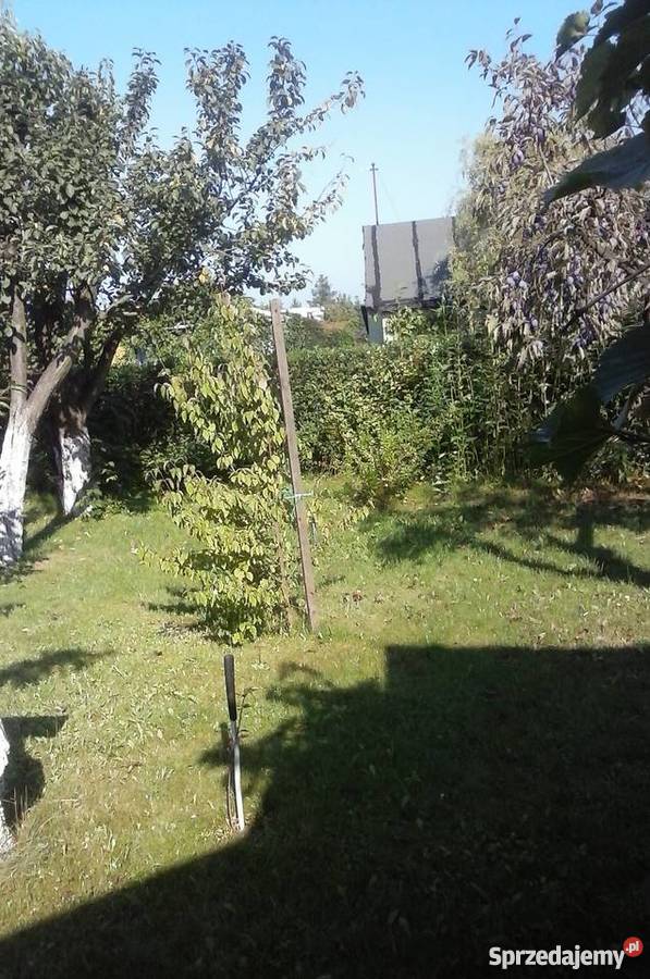 Działka rekreacyjna Siedlce