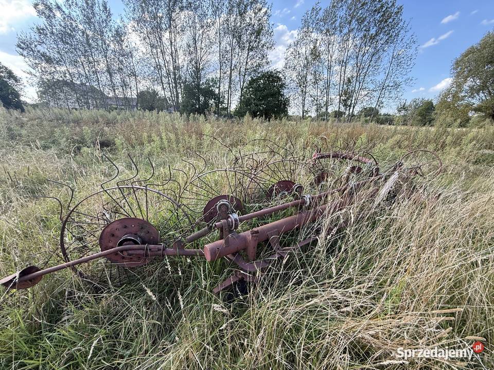 Zgrabiarka Międzypole