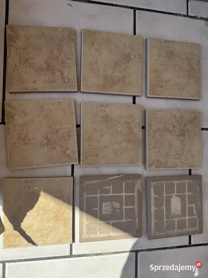 Płytka ceramiczna ścienna GLORIA BAIGE 10x10 Pozostałe