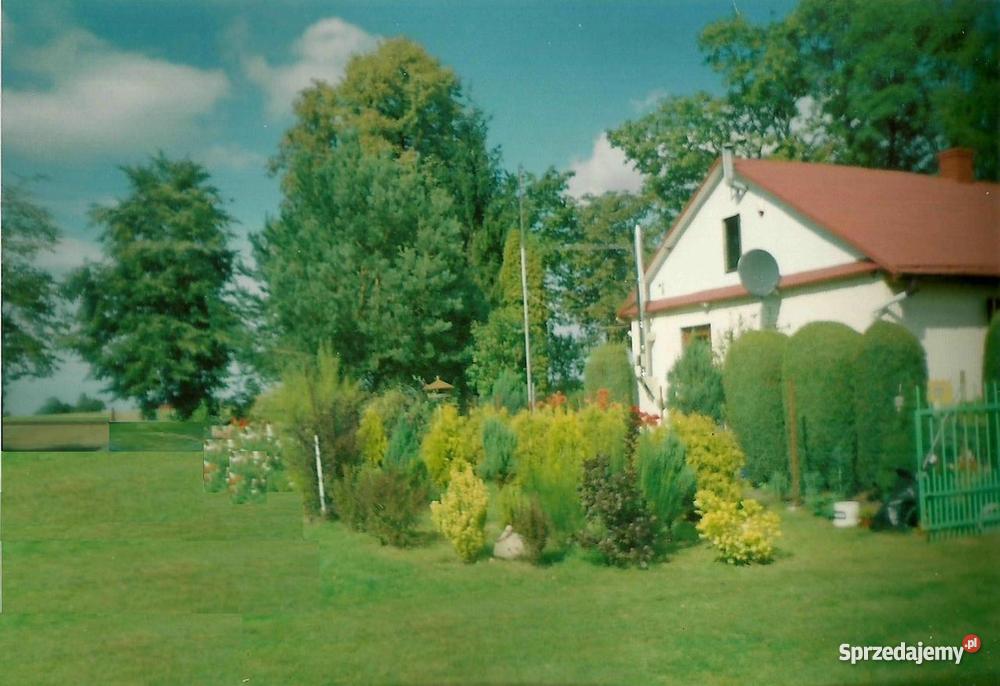 Dom całoroczny ciche spokojne miejsce Wilczyska