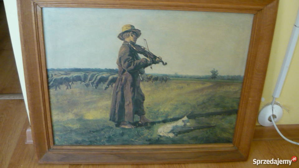 Obraz Owczarek Myszków