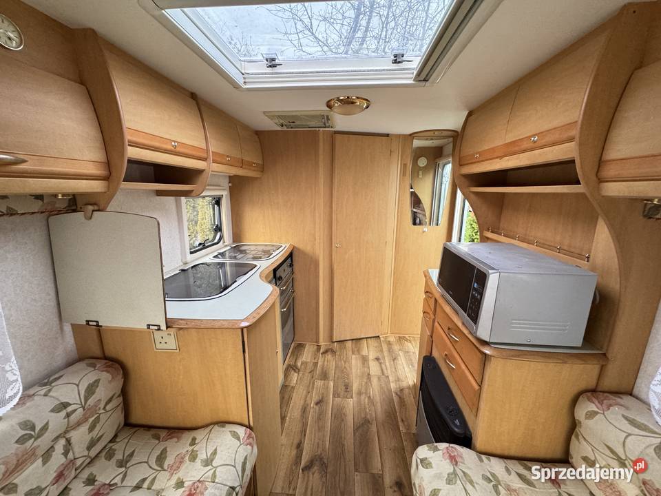 BAILEY Pageant Monarch Zarejestrowana DMC1202 Sanok