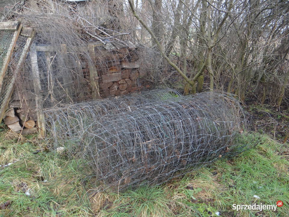 Sprzedam siatkę leśną bramę wjazdową Wołowa dolnośląskie Wołów sprzedam
